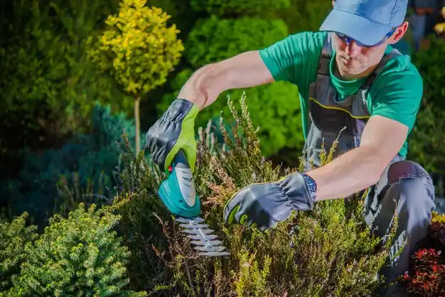 landscaping services Lorenz Park